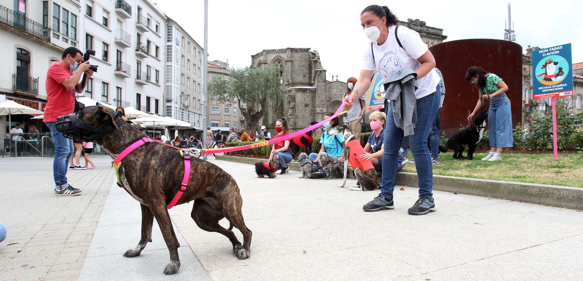 A iniciativa municipal trata de concienciar sobre o comportamento cívico dos donos de cans