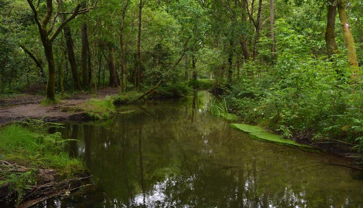 Río dos Gafos