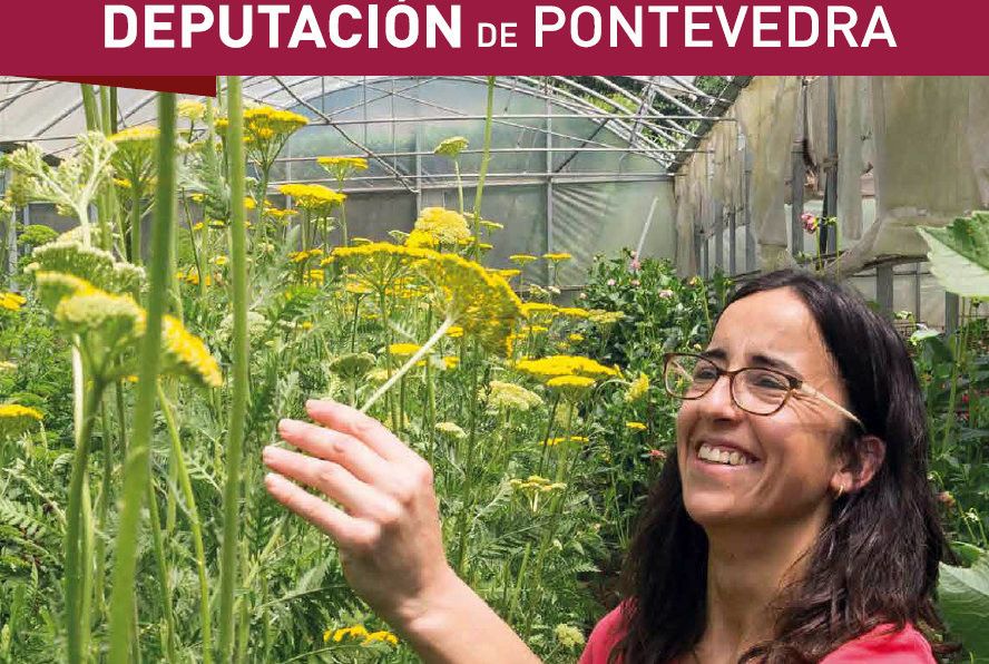 Campaña da Deputación para promocionar produtos locais