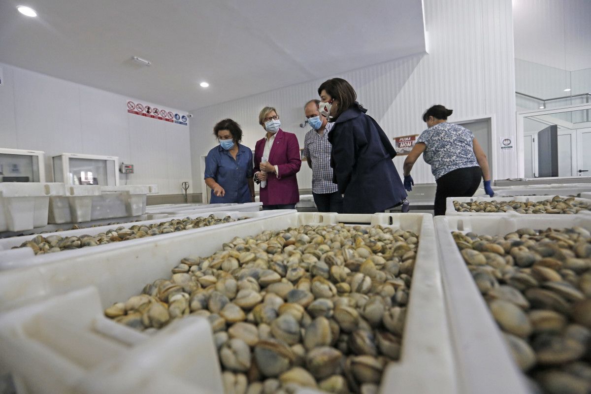 La conselleira de Mar en la cofradía de O Grove