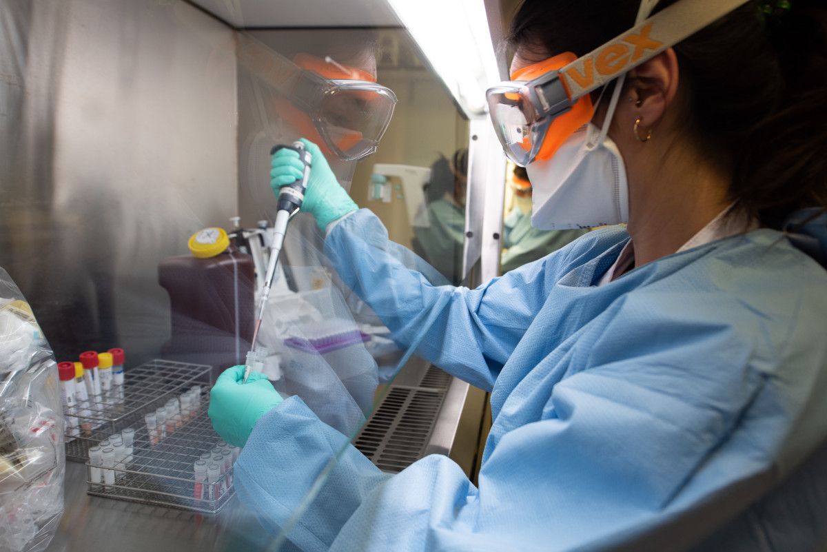 Traballo de laboratorio