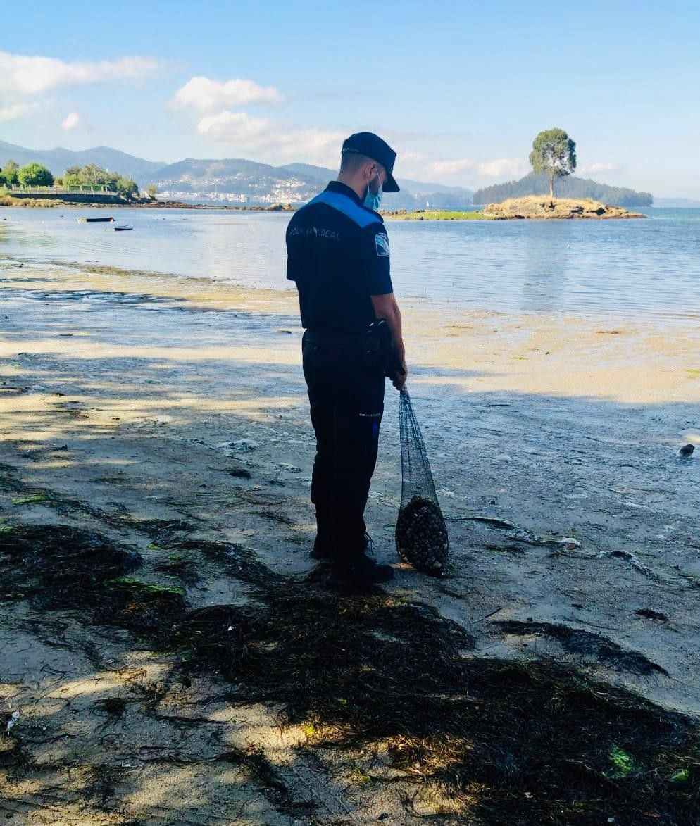La Policía Local de Poio incauta 12 kilos de almeja