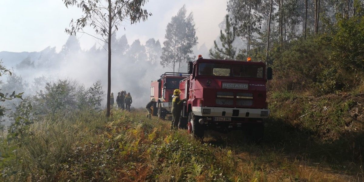 Incendio forestal orixinado no lugar de Ferreiros