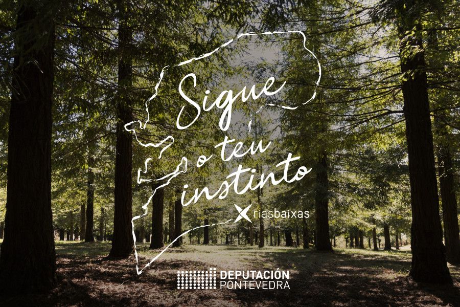 Imagen de la campaña promocional 'Sigue o teu instinto'