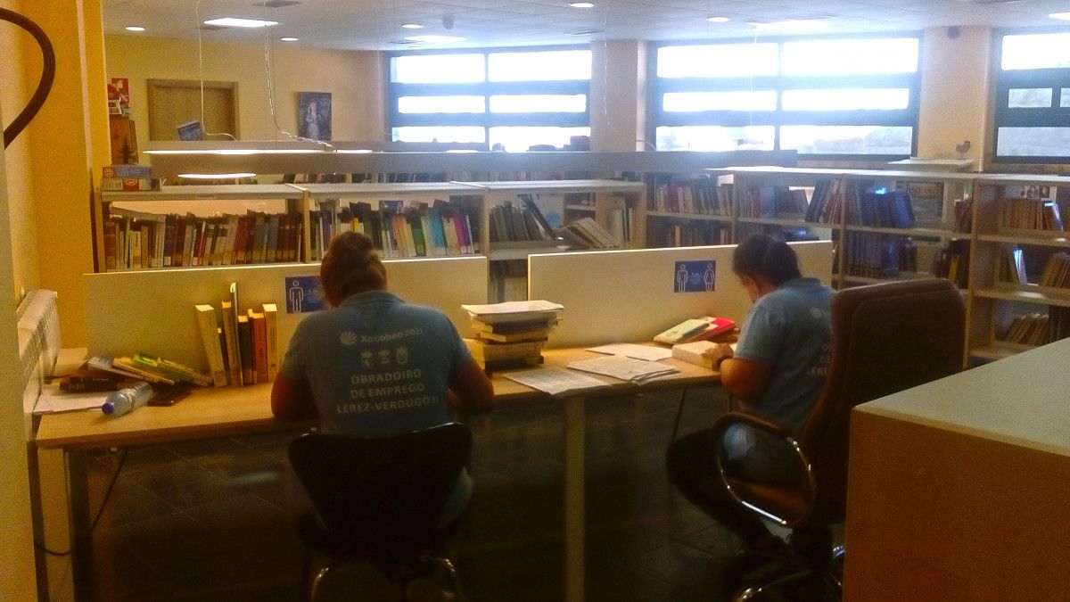 Prácticas de arquivo de biblioteca do Taller de Emprego Lérez-Verdugo II