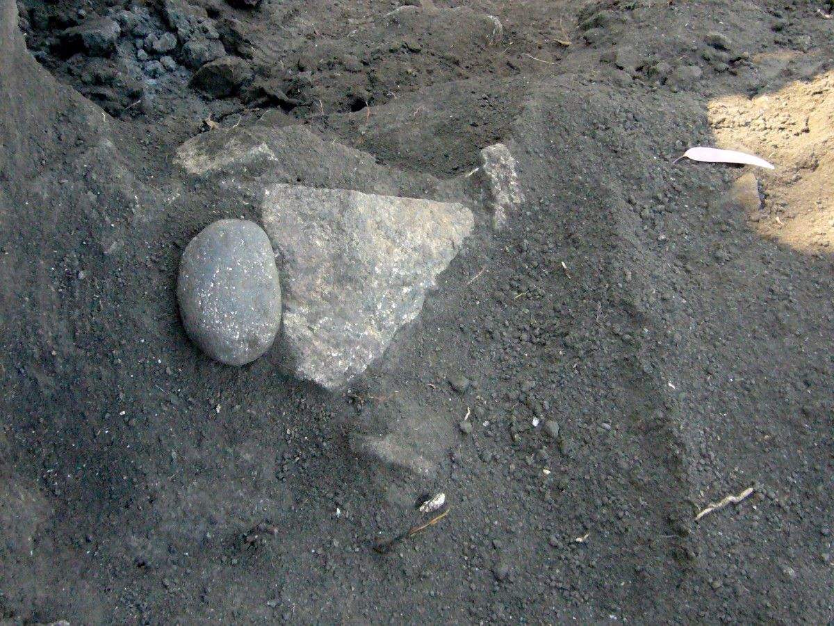 Restos encontrados en el Castro das Croas