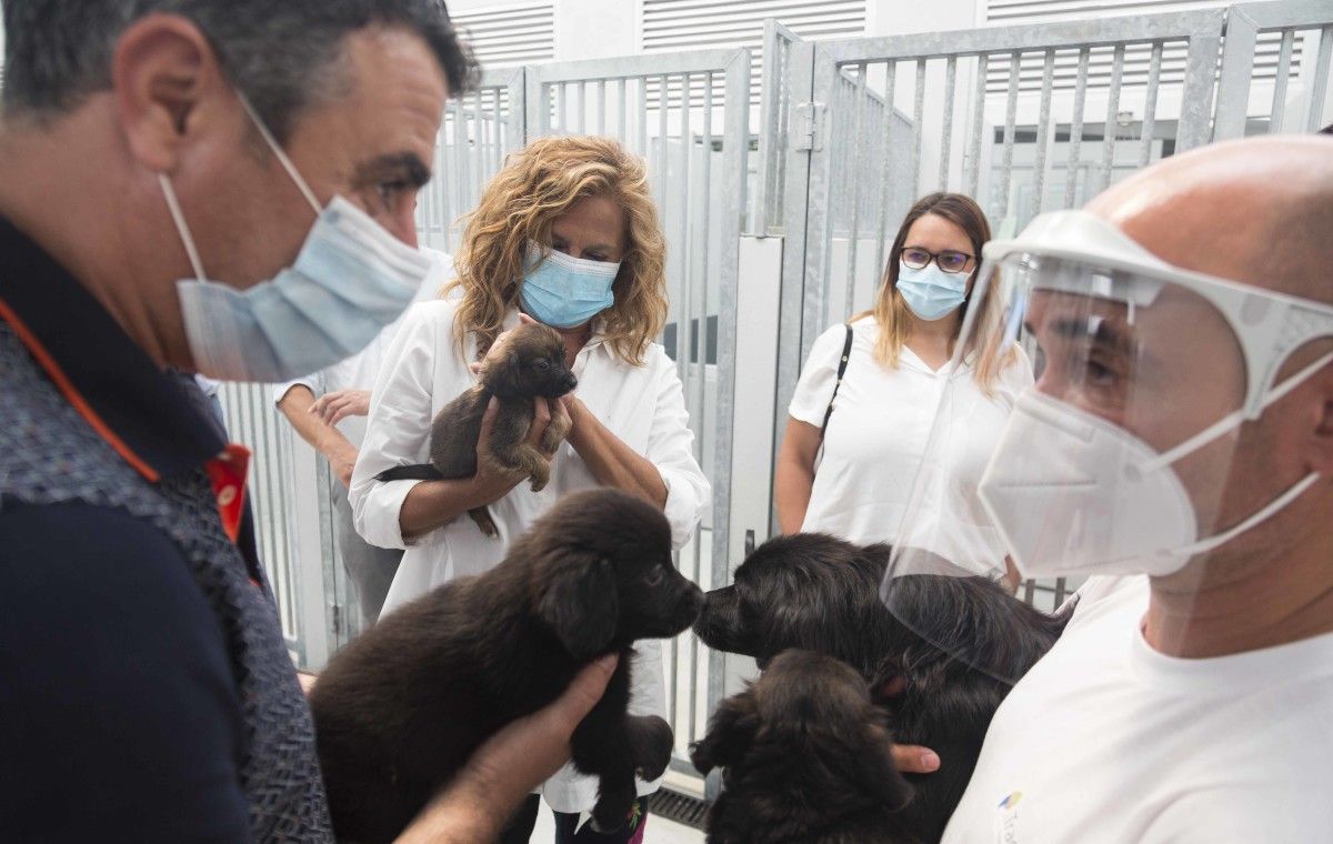 Visita da presidenta Carmela Silva ás instalacións do CAAN