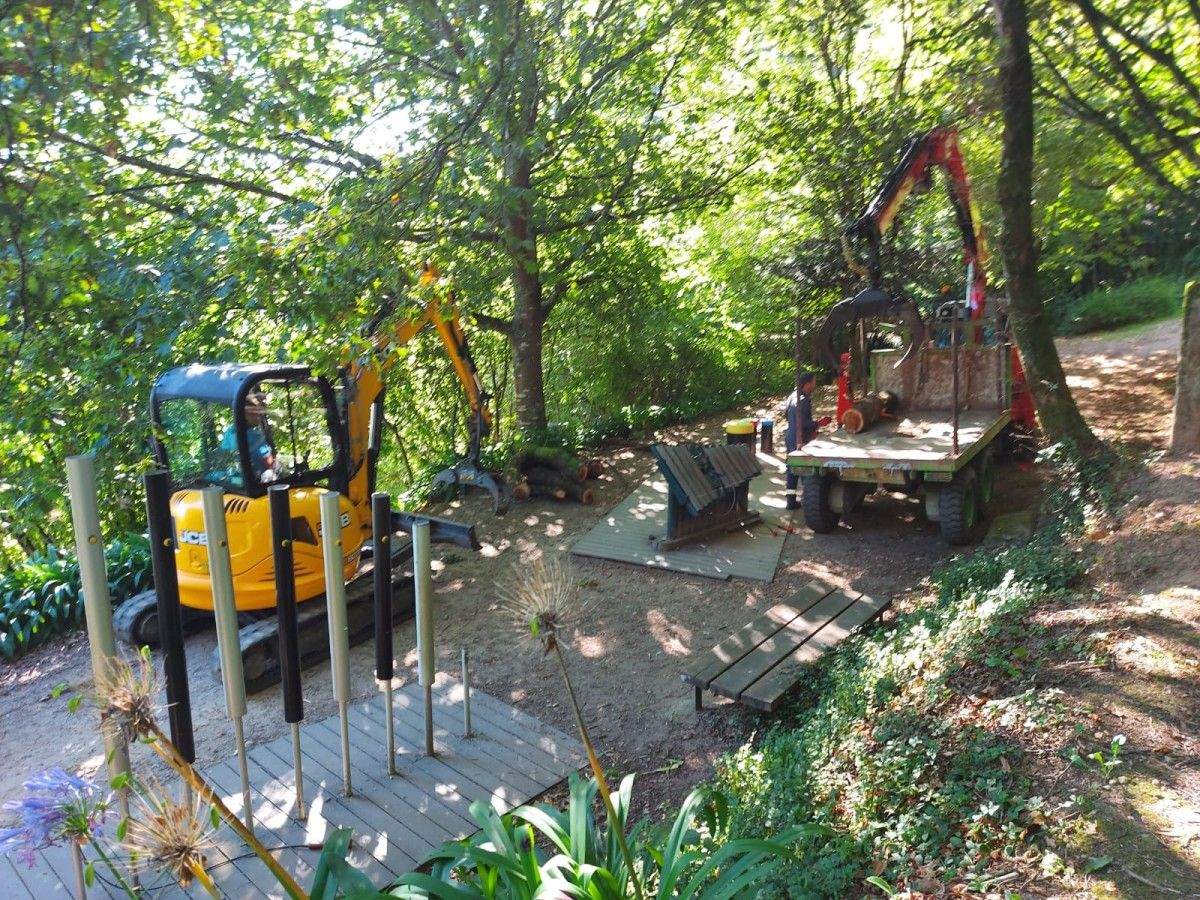 Retiran unha árbore de grandes dimensións da Finca de Briz por risco de caída
