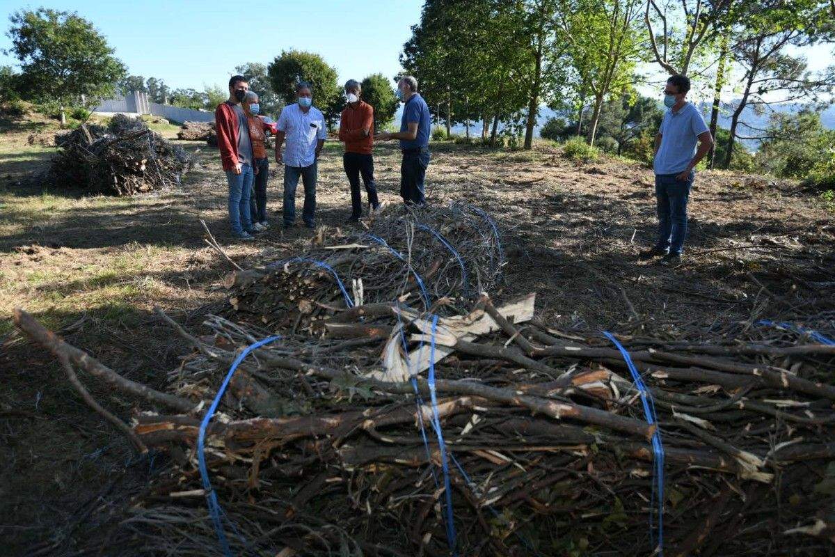 Visita ao parque forestal de A Tomba