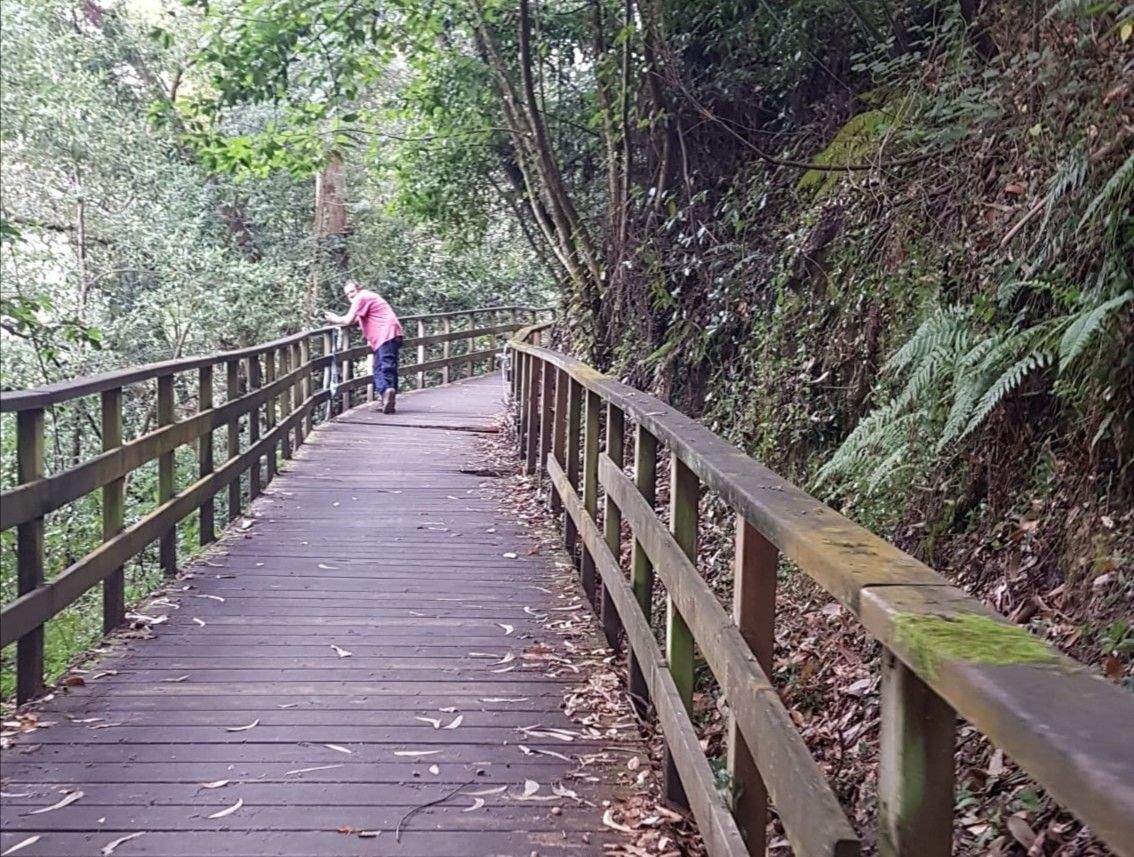 El Concello inicia las obras de reparación de desperfectos en la senda fluvial del Lérez