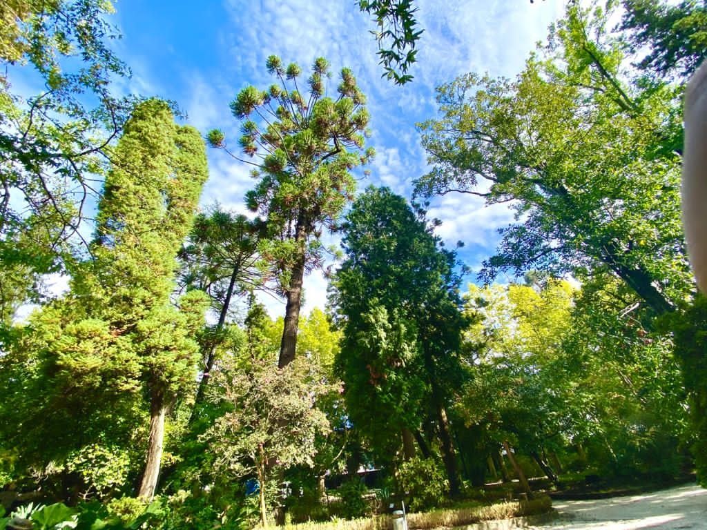 Jardín botánico de Caldas