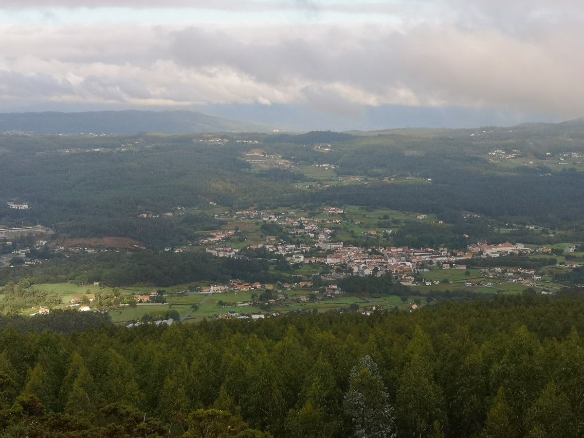 Cuntis