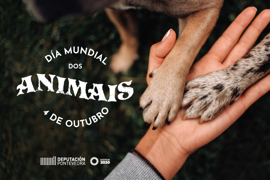 O CAAN súmase ao Día Mundial dos Animais cunha campaña de concienciación