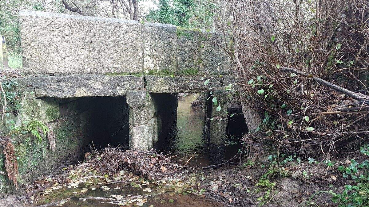 Río dos Gafos
