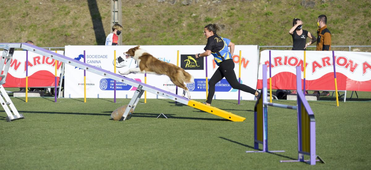 Prueba de 'agility' disputada en Marcón