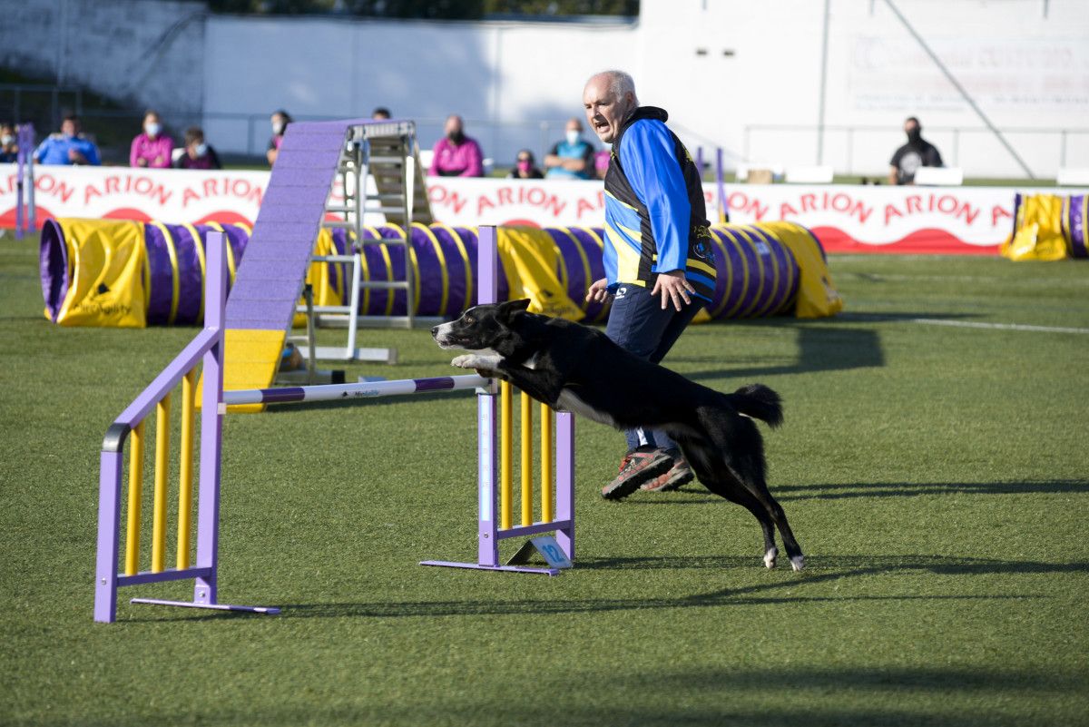 Proba de 'agility' disputada en Marcón