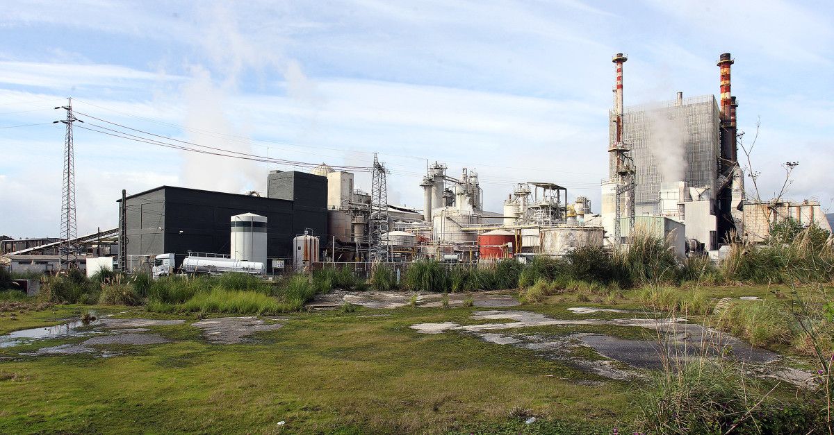 Complejo industrial de Ence-Elnosa