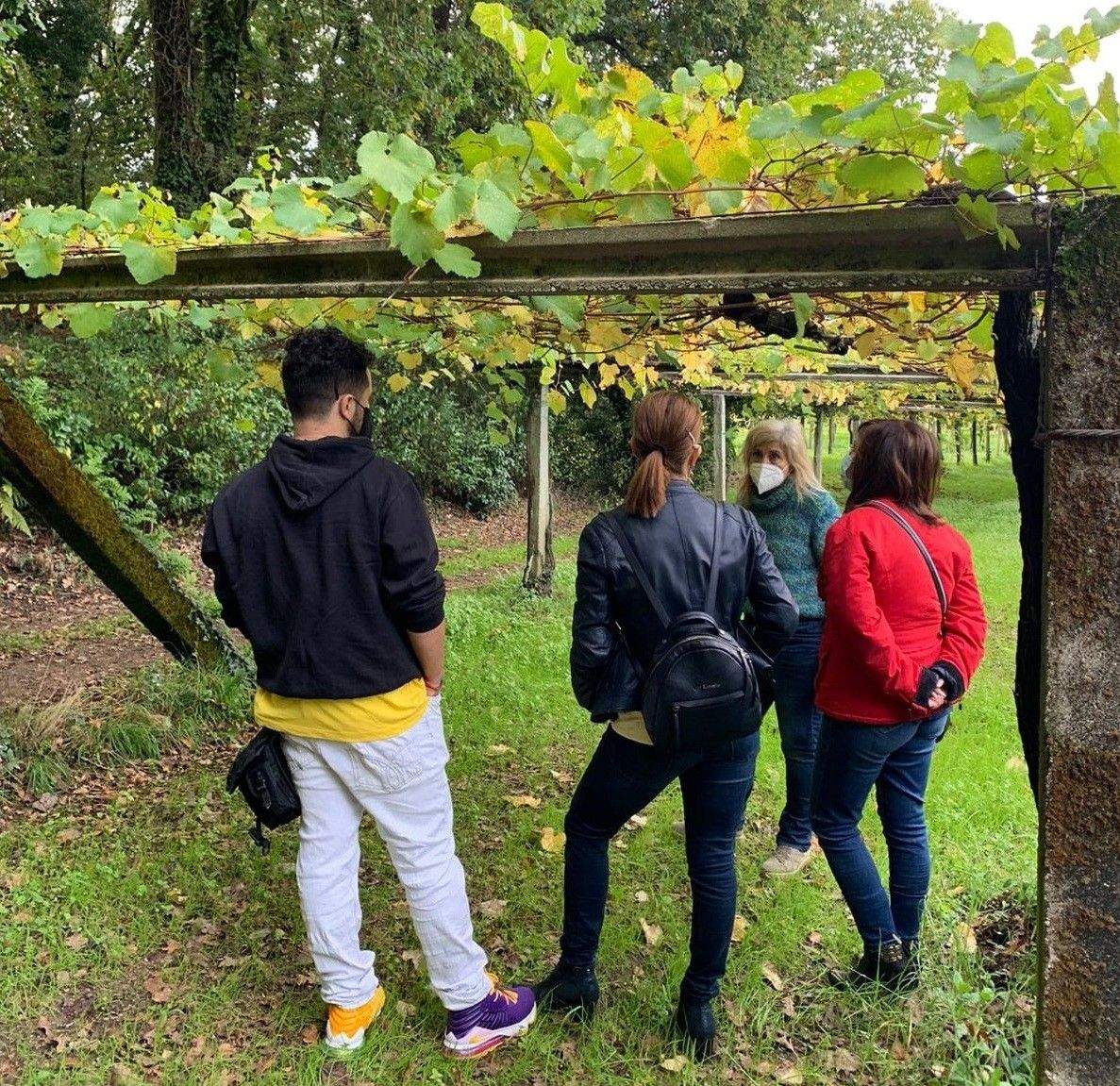Xornadas de Portas Abertas da Ruta do Viño Rías Baixas