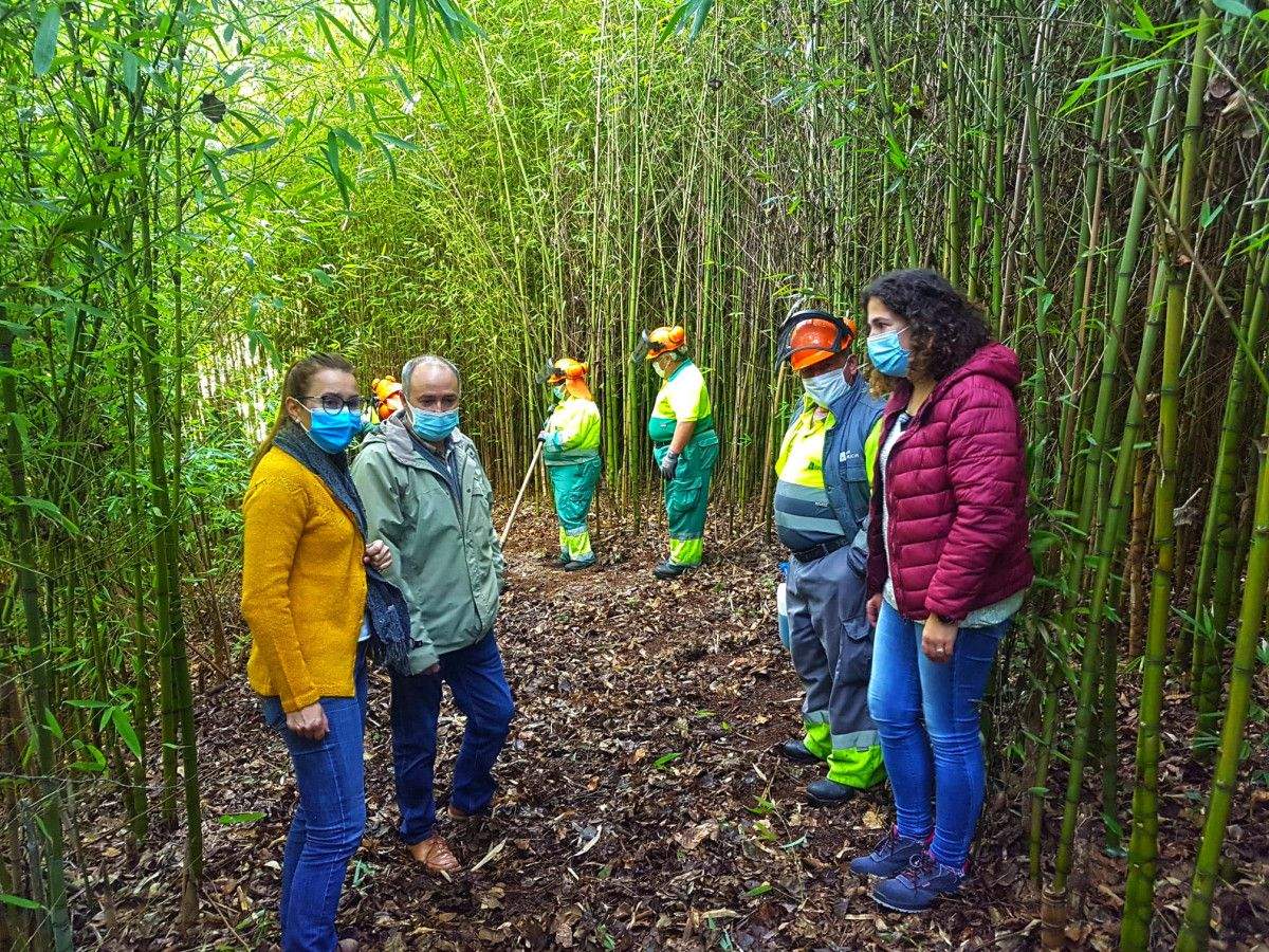 Comeza en Moraña o obradoiro de emprego forestal