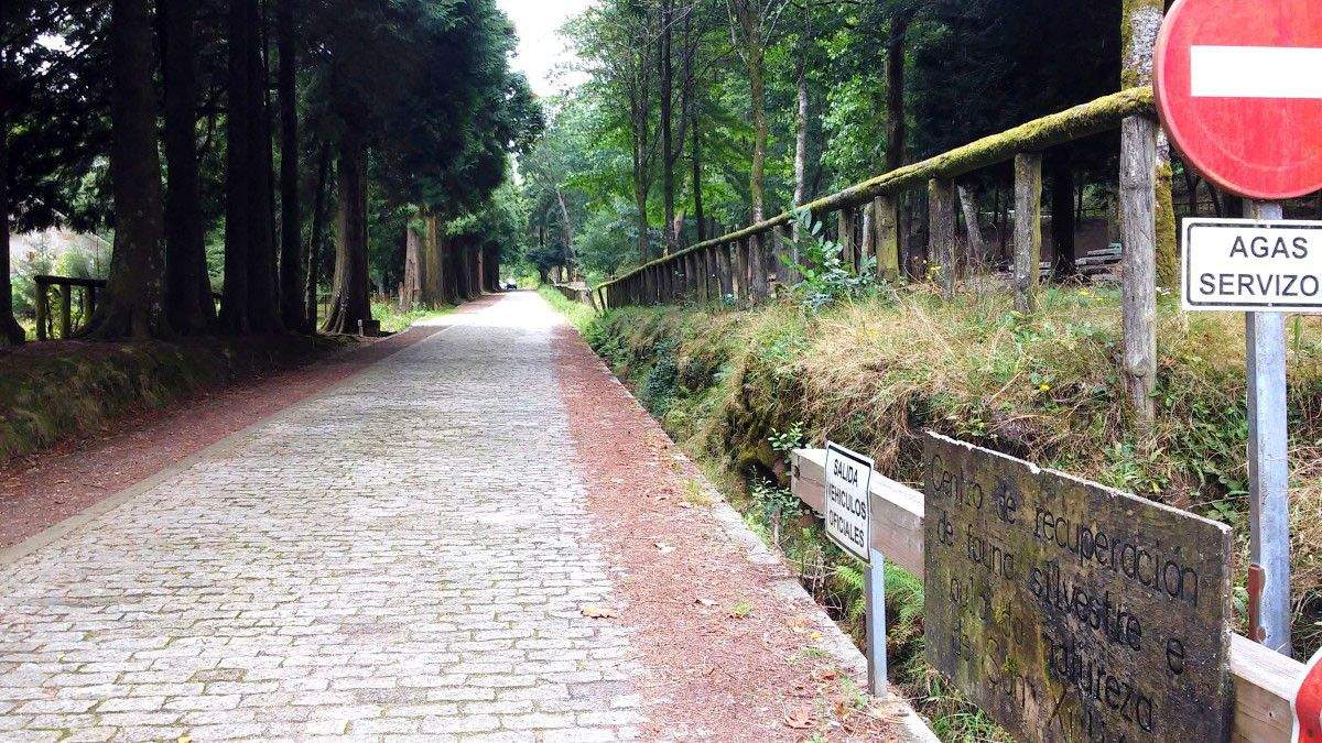 Centro de recuperación de fauna silvestre no Lago de Castiñeiras