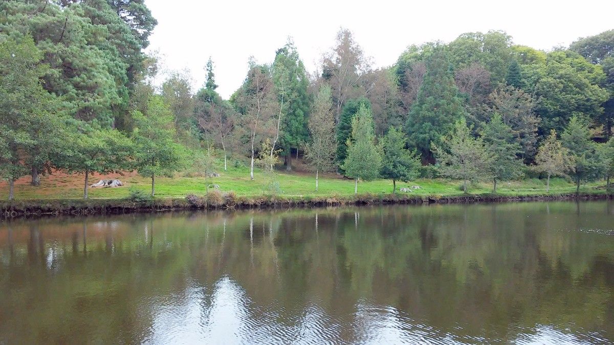 Lago de Castiñeiras