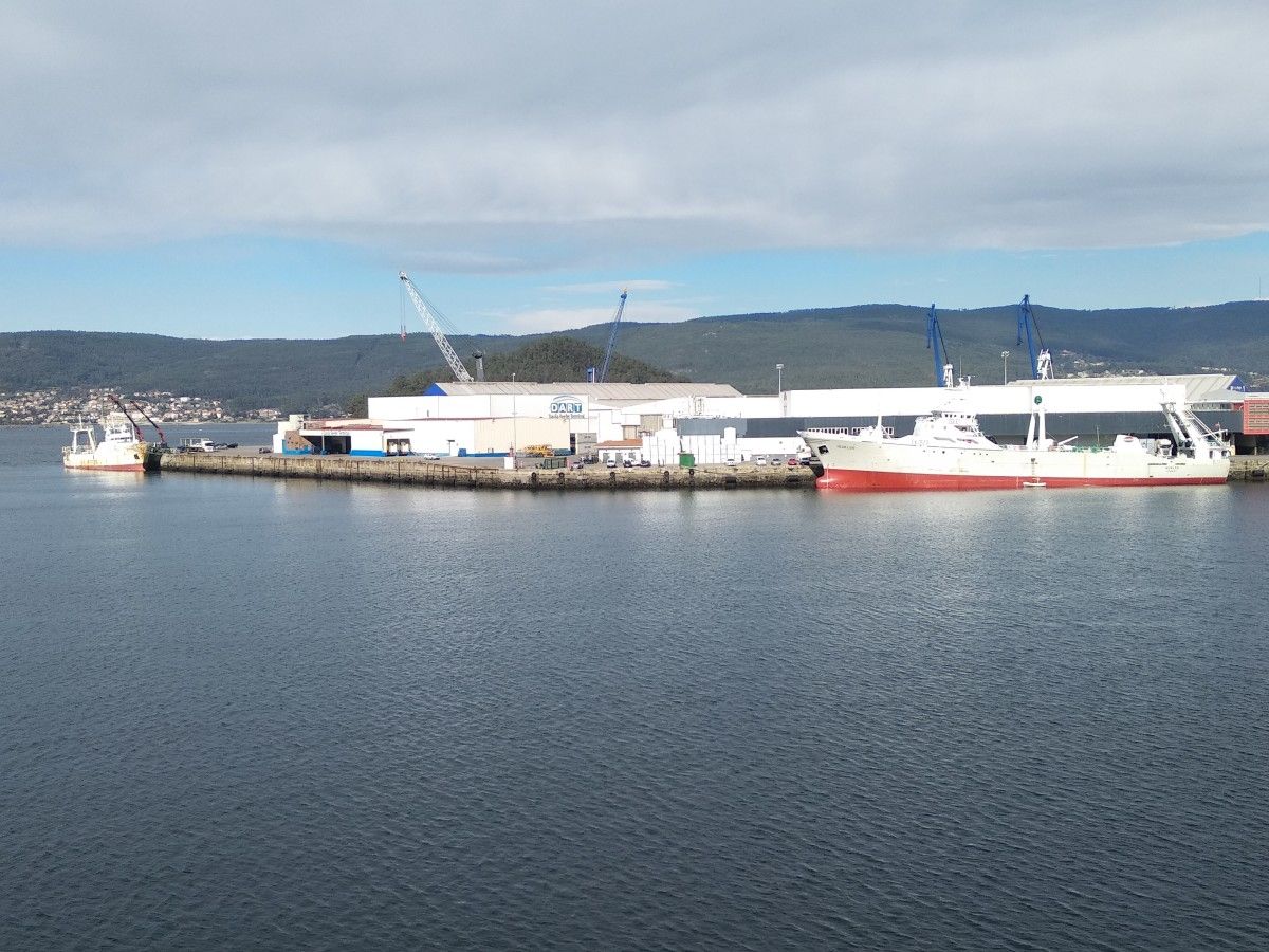 Pesqueiros descargan toneladas de peixe conxelado no Porto de Marín