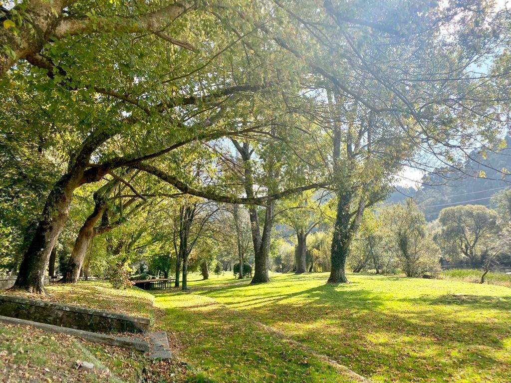 Carballeira de Caldas de Reis