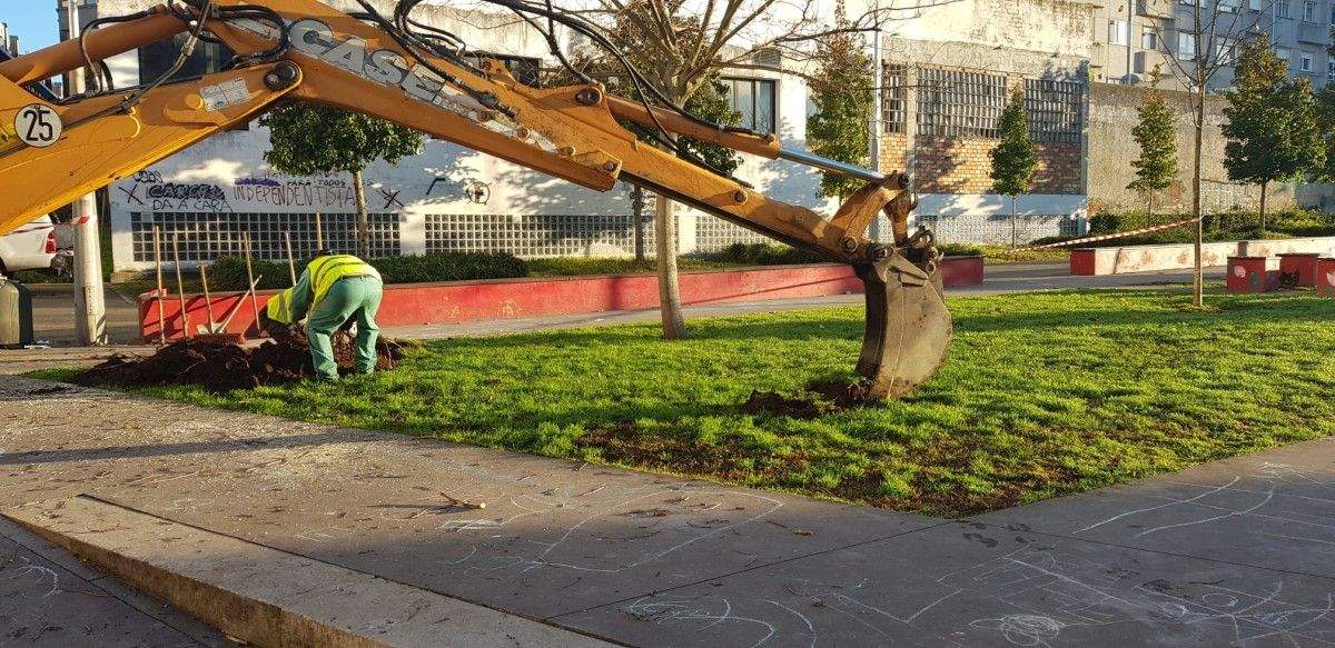 Parque de Amalia Álvarez