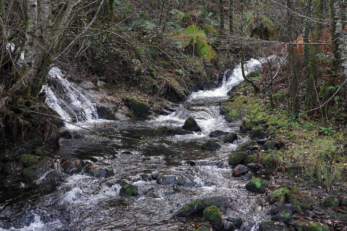 Río Peralba, en Marcón