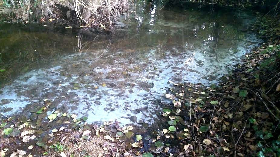Vertido en el río de Os Gafos