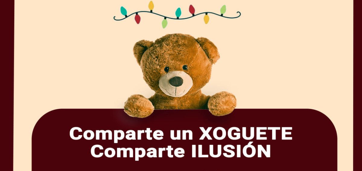 Campaña de la Fundación Amigos de Galicia