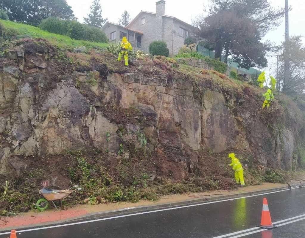 Noiro que arranxará a Xunta