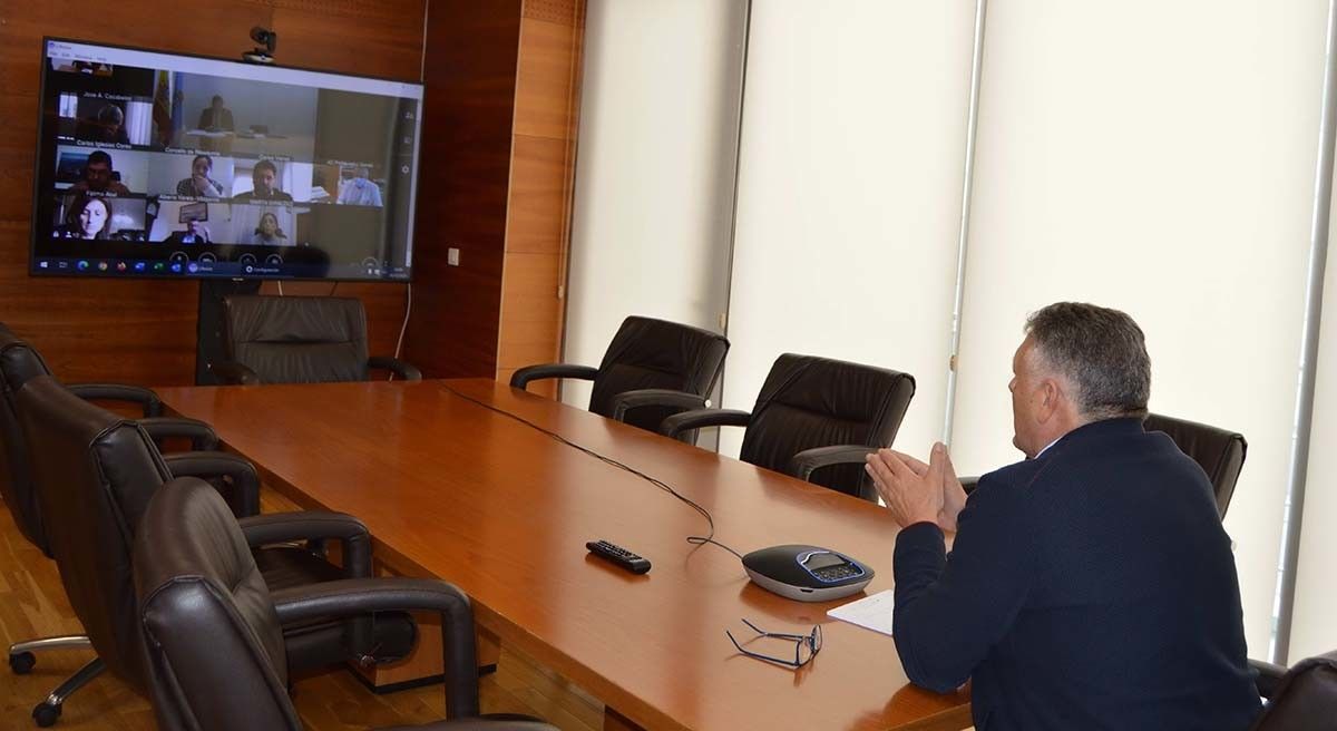 Telmo Martín en la videoconferencia con Sanidade