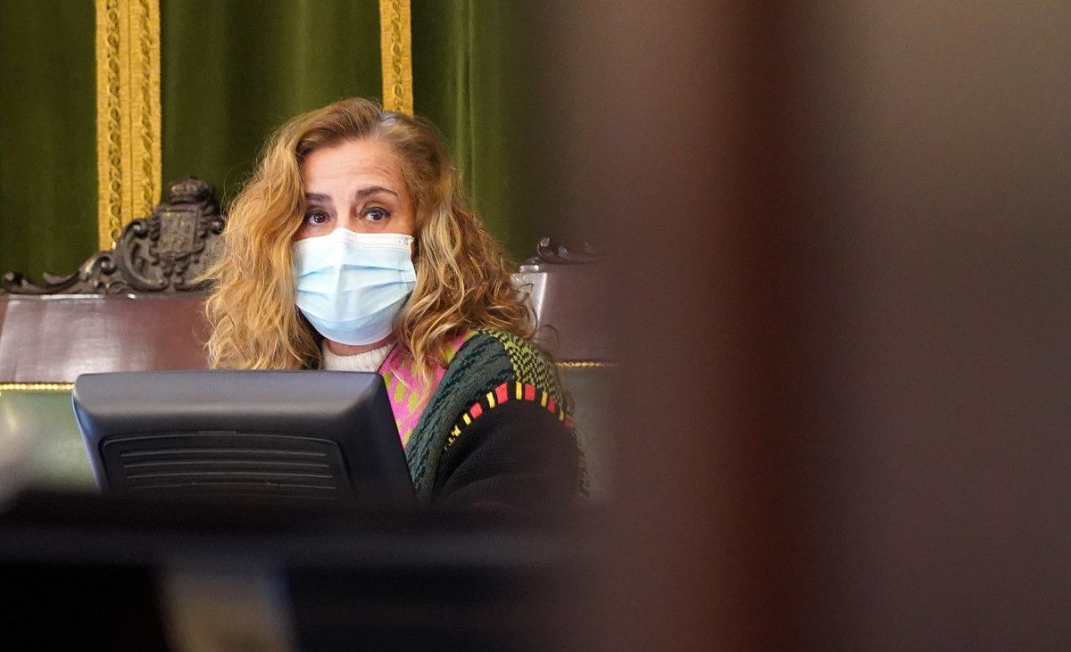 Pleno de la Deputación de Pontevedra