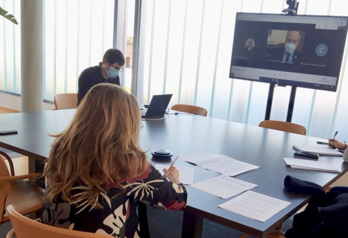 Videoconferencia de los presidentes de las deputaciones de A Coruña, Lugo y Pontevedra