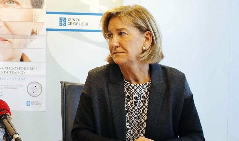 Ángeles Feijoo-Montenegro no seu cargo como xefa territorial de Sanidade