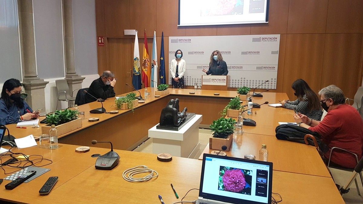 Carmela Silva, presidenta de la Deputación, anuncia las nuevas iniciativas turísticas