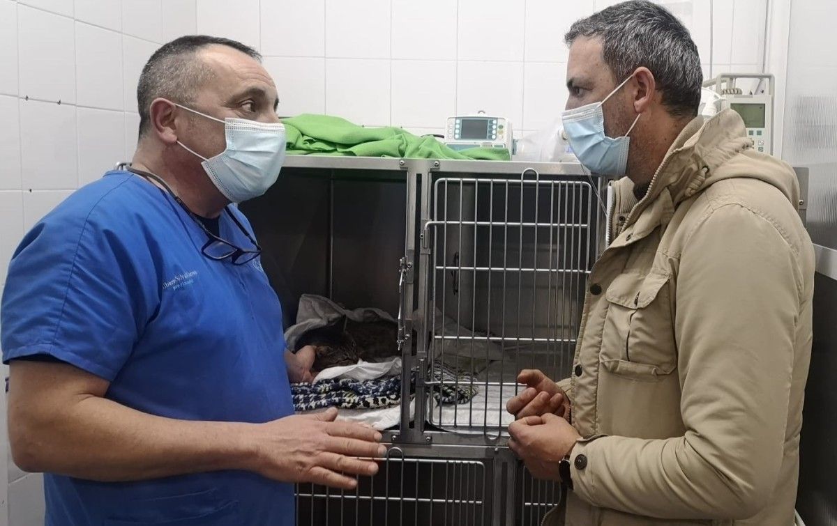 El concejal de Bienestar Animal, Marcos Rey, visita la Clínica Veterinaria Mourente para interesarse por el gato Balín