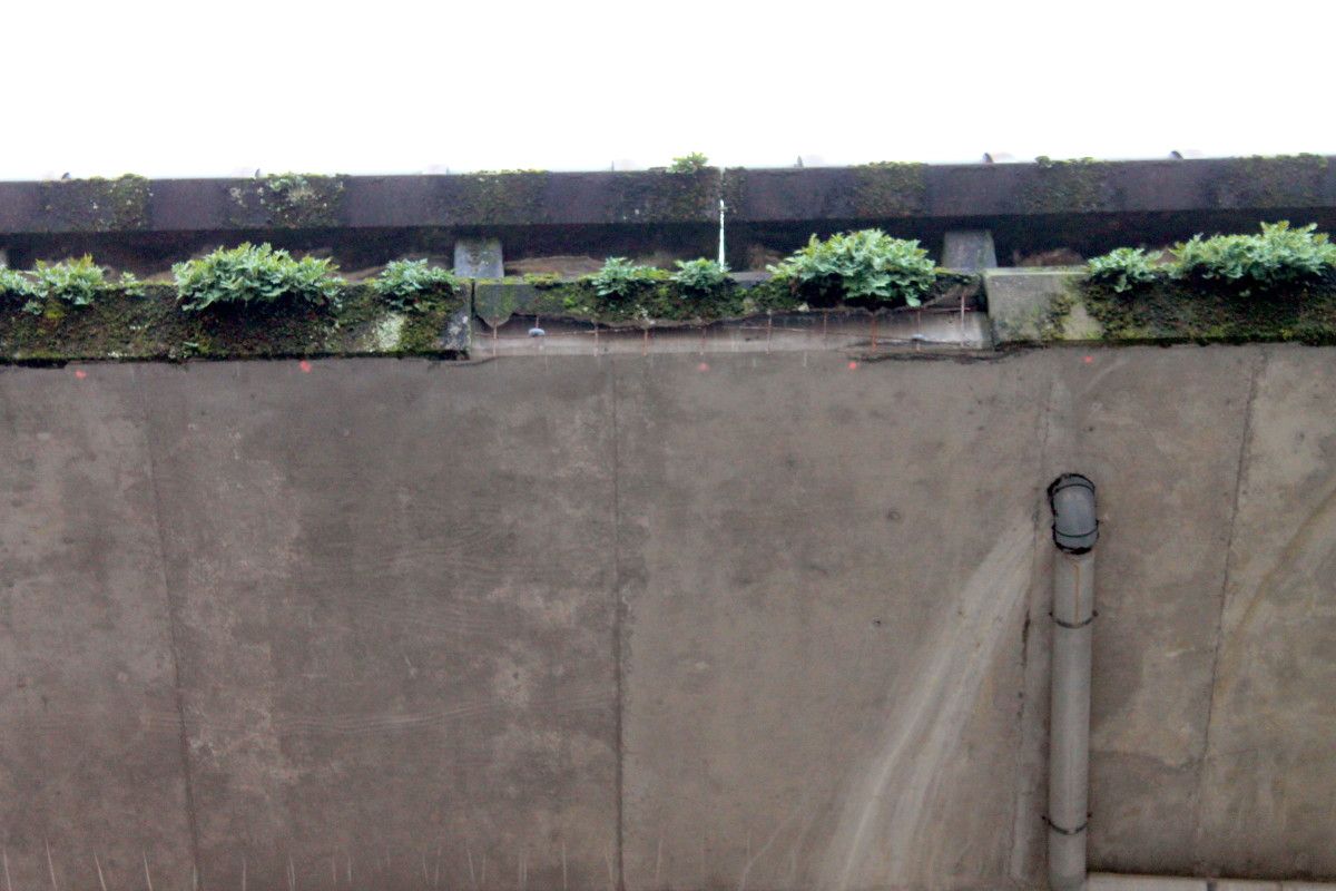 Denuncian el desprendimiento de cascotes del puente de la AP-9 en Mollavao
