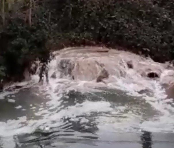 Vertedura de fecais os río Gafos