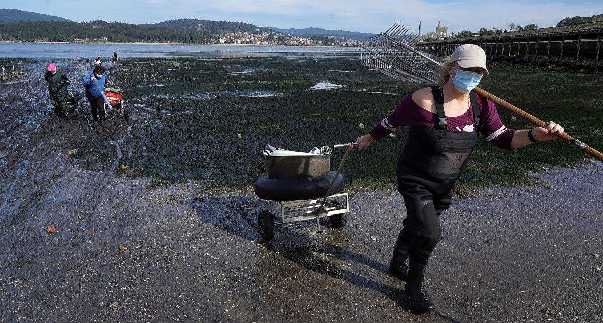 Mariscadoras en la ría de Pontevedra