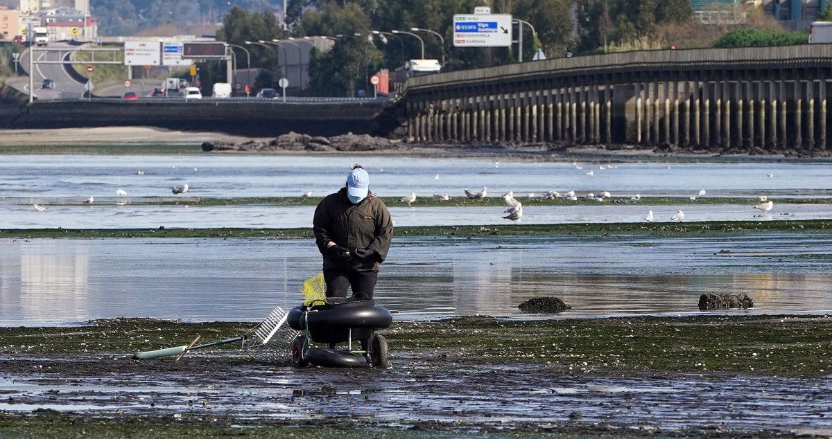 Mariscadoras na ría de Pontevedra