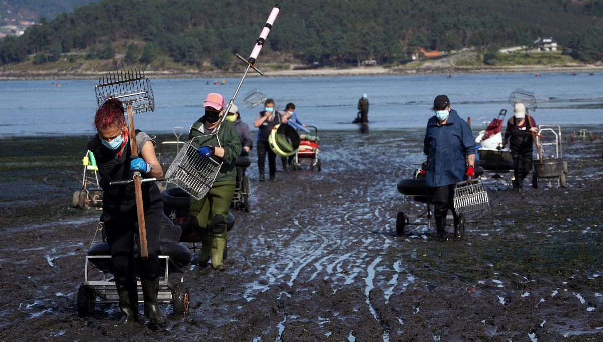 Mariscadoras na ría de Pontevedra