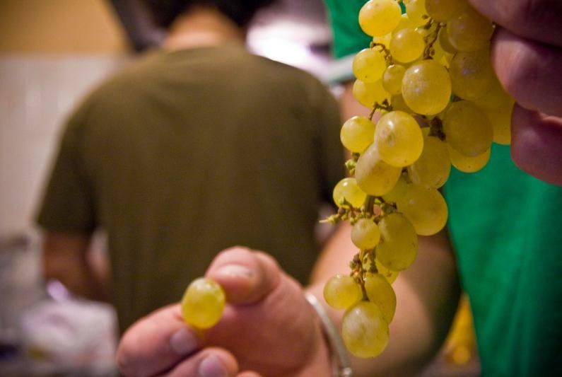Tomar as doce uvas é unha arraigada tradición do Nadal