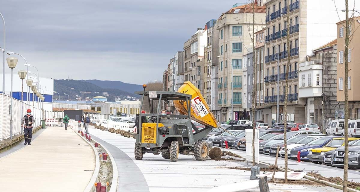 Plantación de los árboles del nuevo paseo de la Avenida de Ourense
