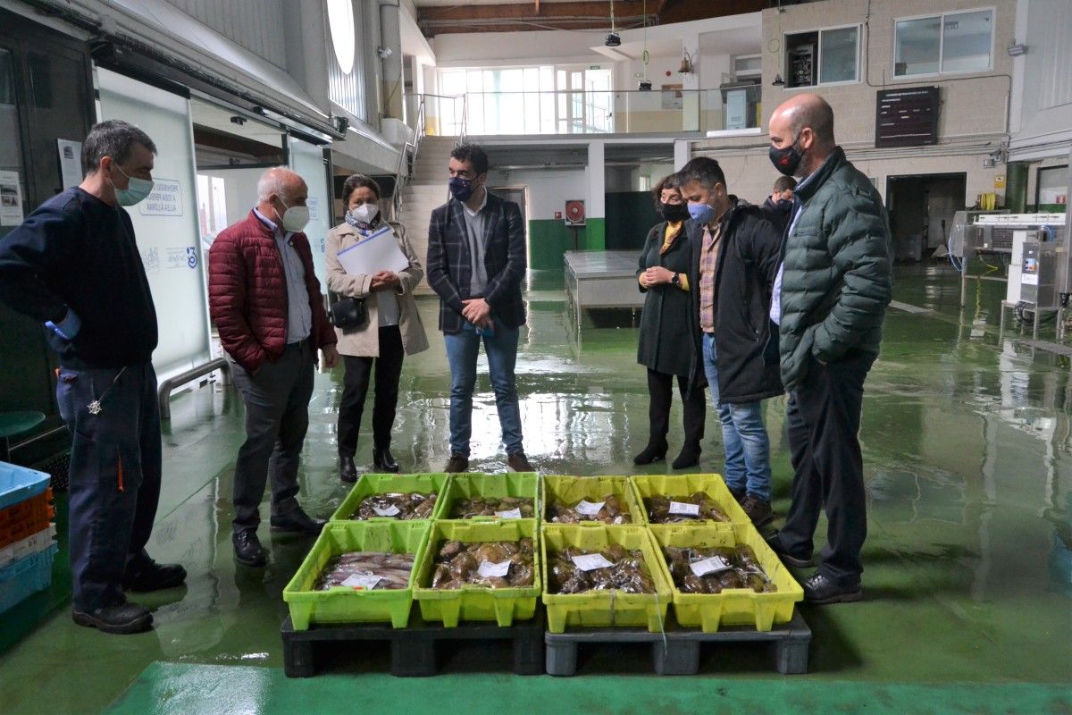 Visita á Confraría de Bueu