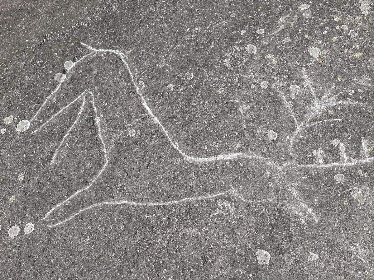 Atentado contra dous petroglifos de Campo Lameiro Atentado contra dous petroglifos de Campo Lameiro