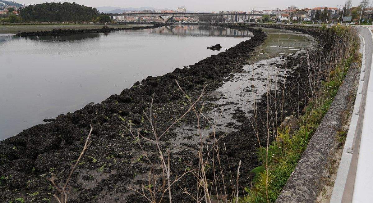 Río Lérez con la marea baja