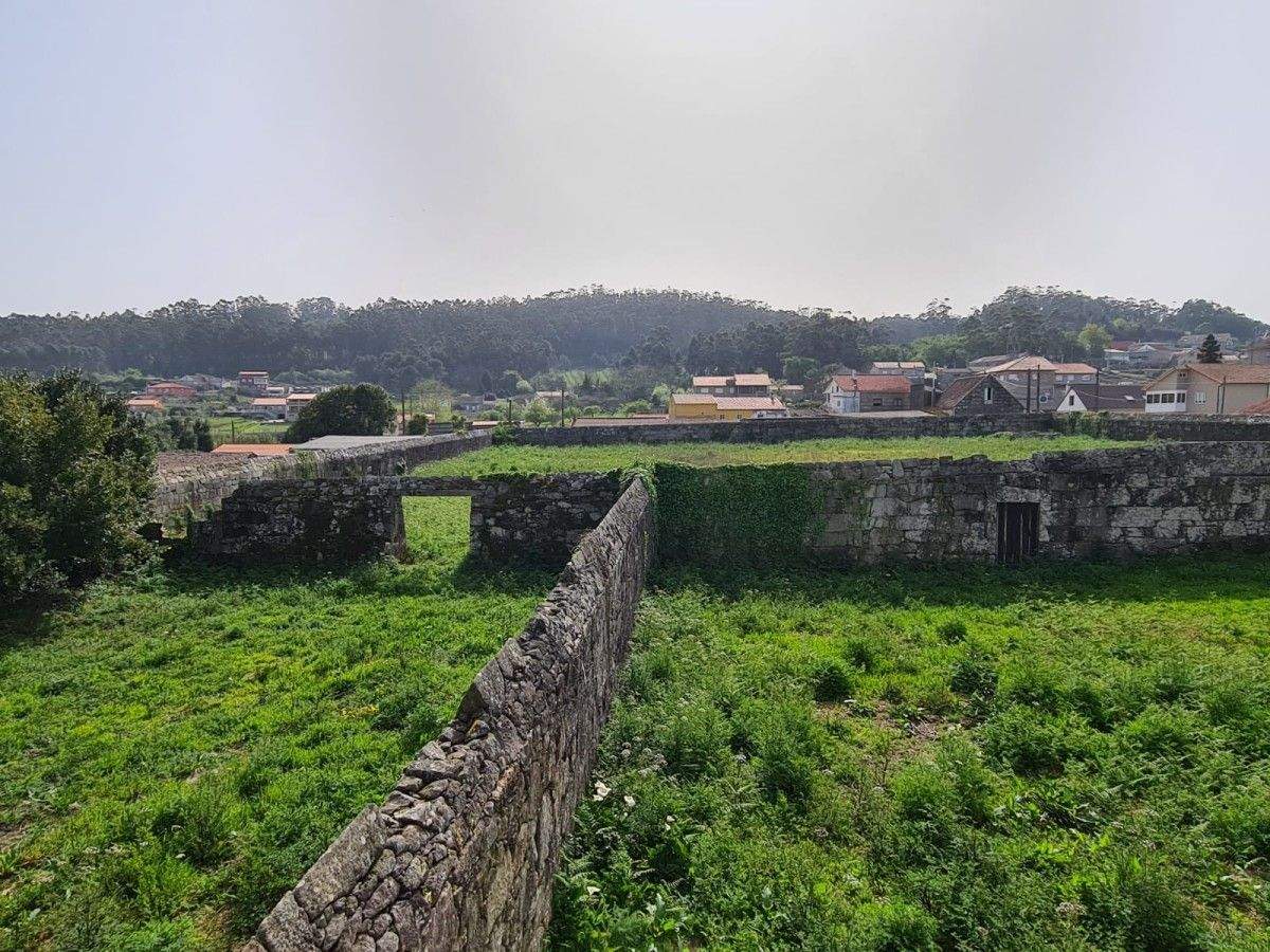 Estado del jardín del Pazo de Quintáns (Sanxenxo)