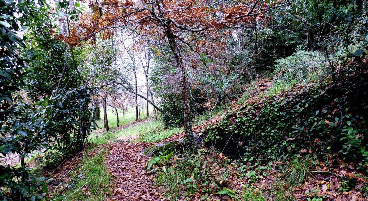 Sendero en el Concello de Barro